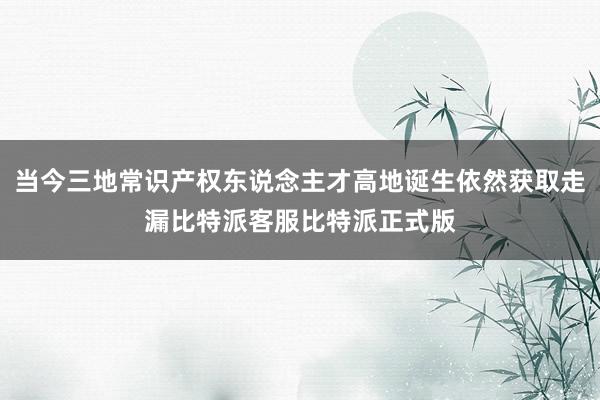 当今三地常识产权东说念主才高地诞生依然获取走漏比特派客服比特派正式版