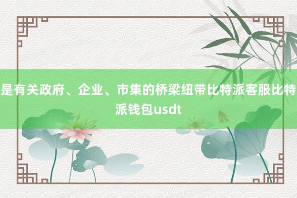 是有关政府、企业、市集的桥梁纽带比特派客服比特派钱包usdt