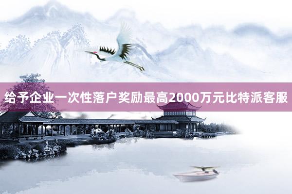 给予企业一次性落户奖励最高2000万元比特派客服