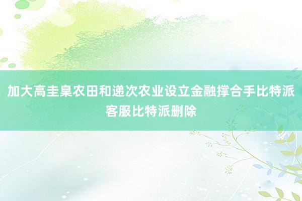 加大高圭臬农田和递次农业设立金融撑合手比特派客服比特派删除