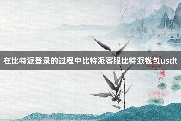 在比特派登录的过程中比特派客服比特派钱包usdt