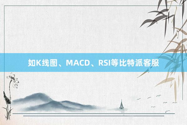 如K线图、MACD、RSI等比特派客服