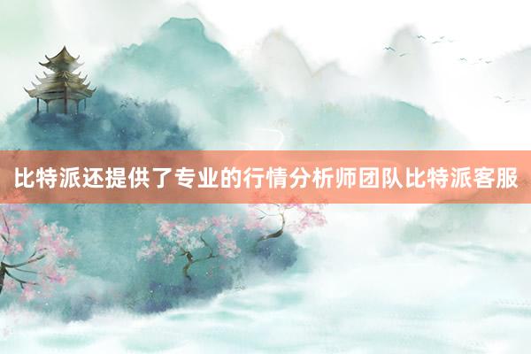 比特派还提供了专业的行情分析师团队比特派客服