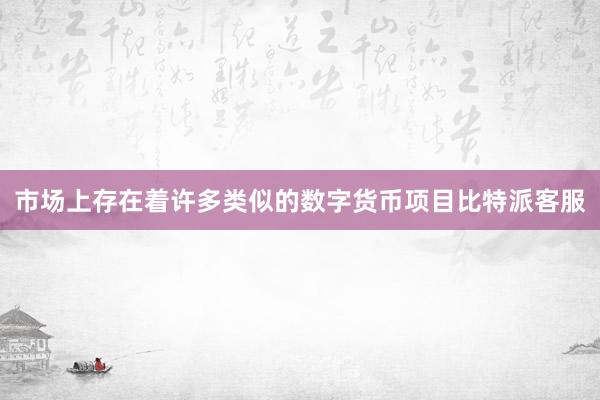 市场上存在着许多类似的数字货币项目比特派客服