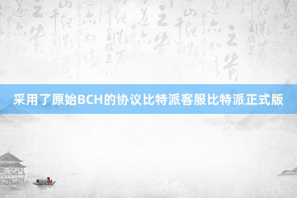 采用了原始BCH的协议比特派客服比特派正式版