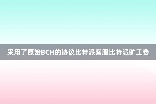 采用了原始BCH的协议比特派客服比特派旷工费