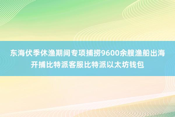 东海伏季休渔期间专项捕捞9600余艘渔船出海开捕比特派客服比特派以太坊钱包