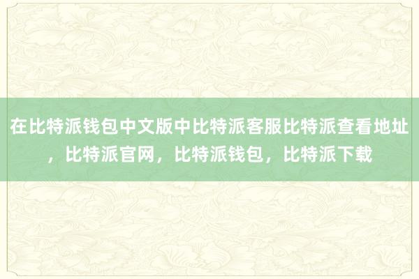 在比特派钱包中文版中比特派客服比特派查看地址，比特派官网，比特派钱包，比特派下载