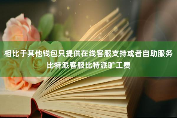 相比于其他钱包只提供在线客服支持或者自助服务比特派客服比特派旷工费