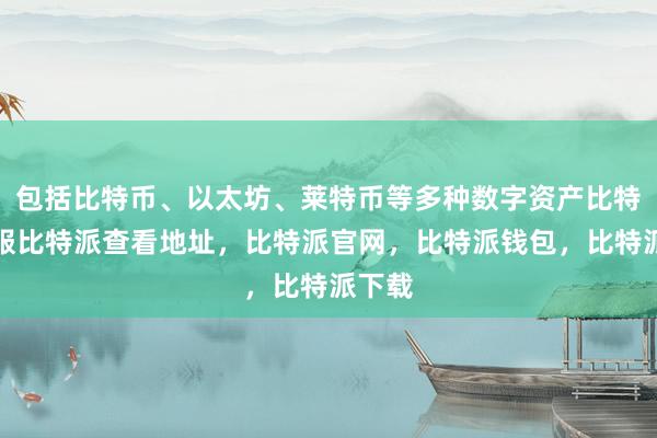 包括比特币、以太坊、莱特币等多种数字资产比特派客服比特派查看地址，比特派官网，比特派钱包，比特派下载