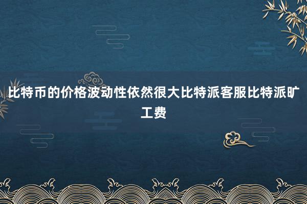 比特币的价格波动性依然很大比特派客服比特派旷工费