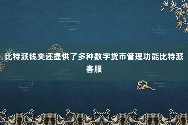 比特派钱夹还提供了多种数字货币管理功能比特派客服