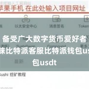 备受广大数字货币爱好者青睐比特派客服比特派钱包usdt