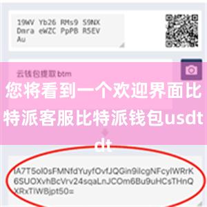 您将看到一个欢迎界面比特派客服比特派钱包usdt