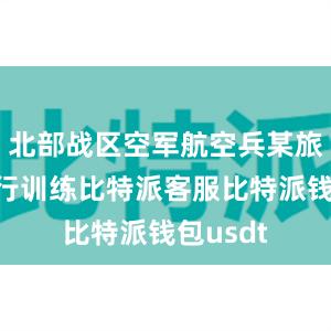 北部战区空军航空兵某旅开展飞行训练比特派客服比特派钱包usdt