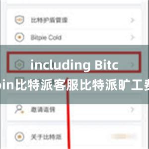 including Bitcoin比特派客服比特派旷工费