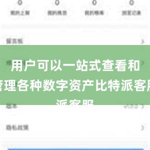 用户可以一站式查看和管理各种数字资产比特派客服