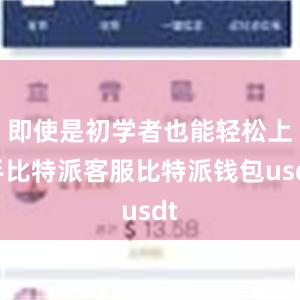 即使是初学者也能轻松上手比特派客服比特派钱包usdt