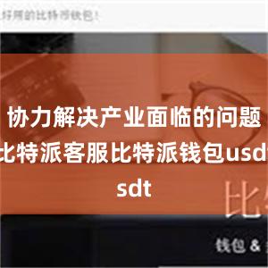 协力解决产业面临的问题比特派客服比特派钱包usdt