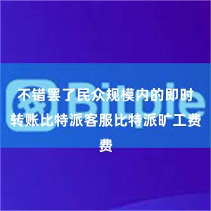 不错罢了民众规模内的即时转账比特派客服比特派旷工费