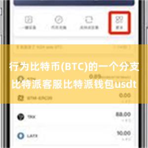 行为比特币(BTC)的一个分支比特派客服比特派钱包usdt