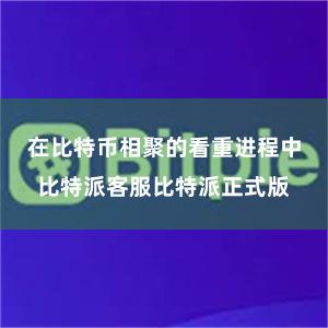 在比特币相聚的看重进程中比特派客服比特派正式版